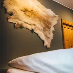 Nordic -